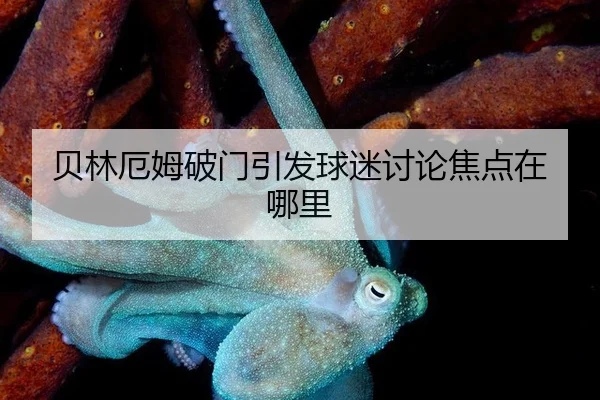 贝林厄姆破门引发球迷讨论焦点在哪里（yuntiyu）